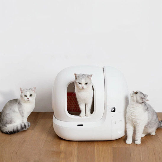 litière intelligente et autonettoyante pour chat