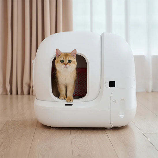 litière intelligente et autonettoyante pour chat