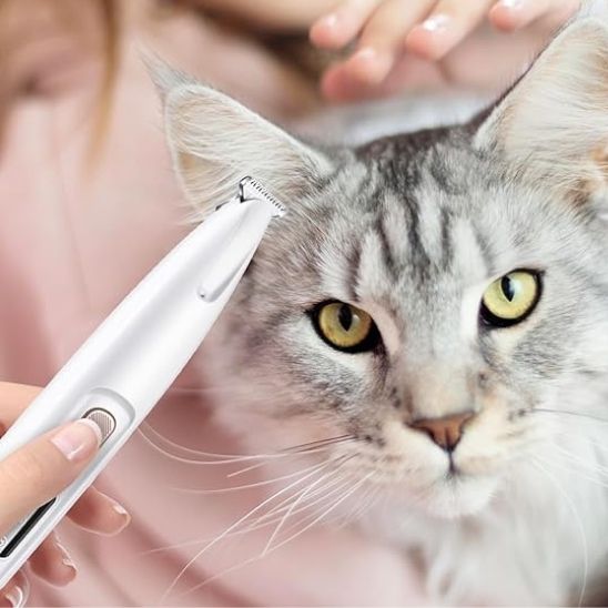 Tondeuse de précision rechargeable et silencieuse pour chat - universmiaou