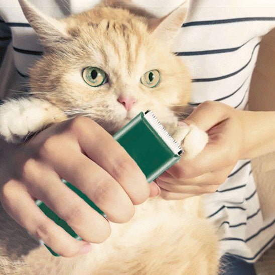 Tondeuse électrique pour chat - CLIPPER - universmiaou