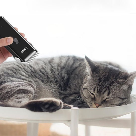 Tondeuse électrique pour chat - CLIPPER - universmiaou