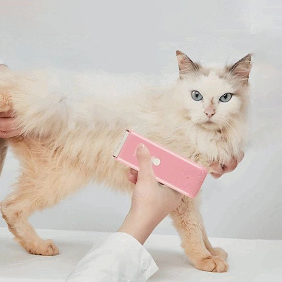 Tondeuse électrique pour chat - CLIPPER - universmiaou