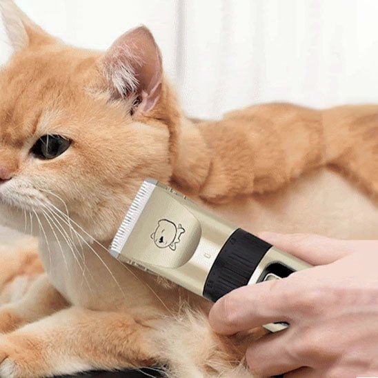 Tondeuse pour chat sans fil et rechargeable par USB - universmiaou