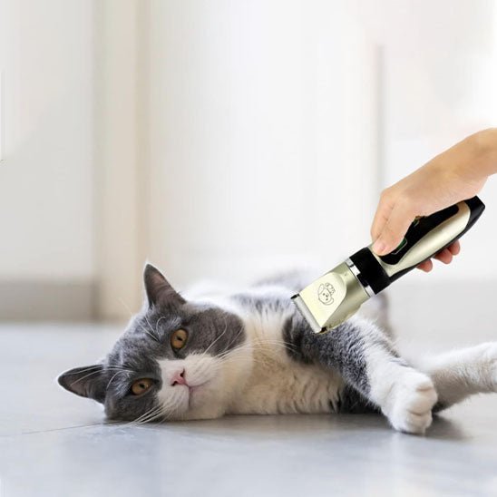 Tondeuse pour chat sans fil et rechargeable par USB - universmiaou