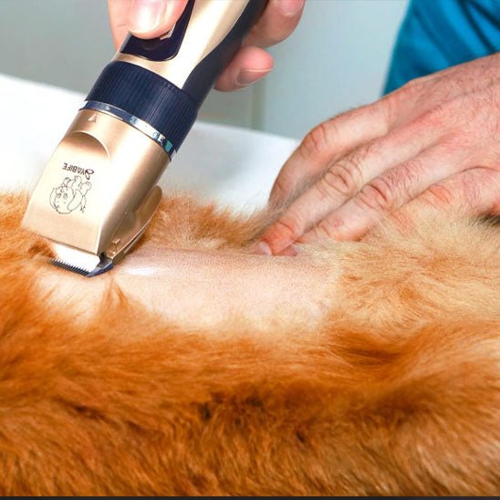 Tondeuse pour chat sans fil et rechargeable par USB - universmiaou