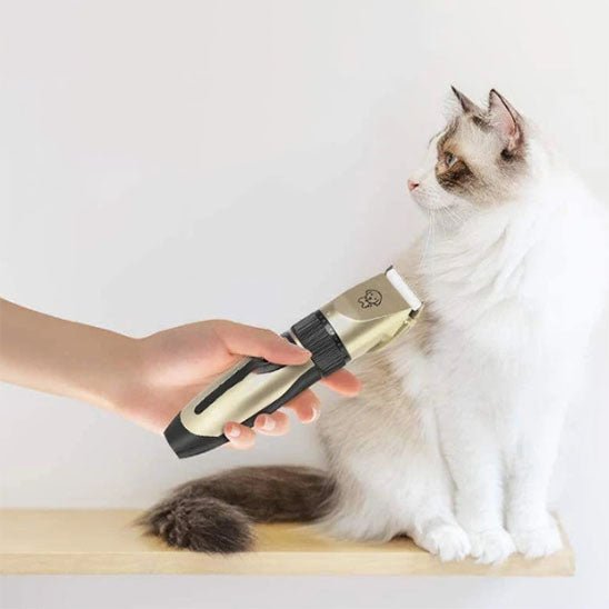 Tondeuse pour chat sans fil et rechargeable par USB - universmiaou