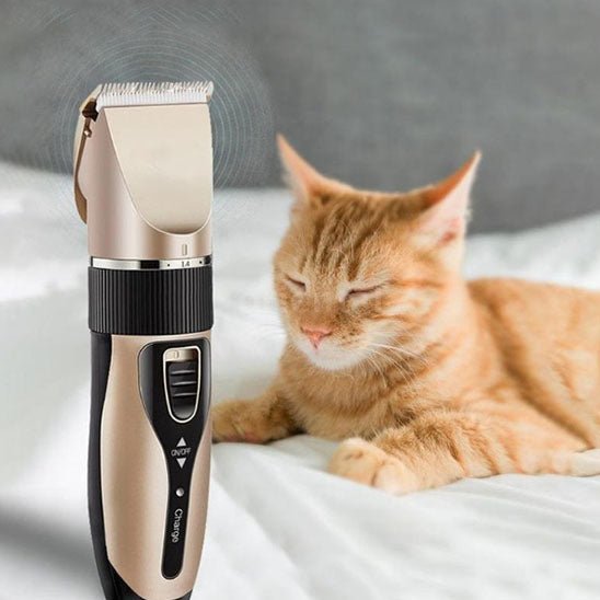 Tondeuse pour chat sans fil et rechargeable par USB - universmiaou