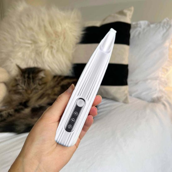 Tondeuse pour chats - universmiaou