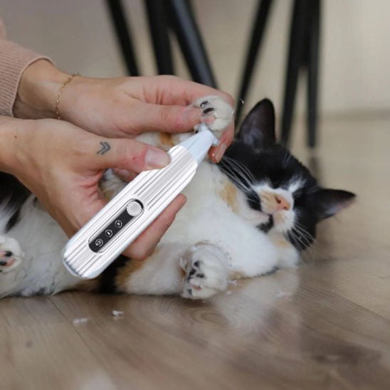 Tondeuse pour chats - universmiaou